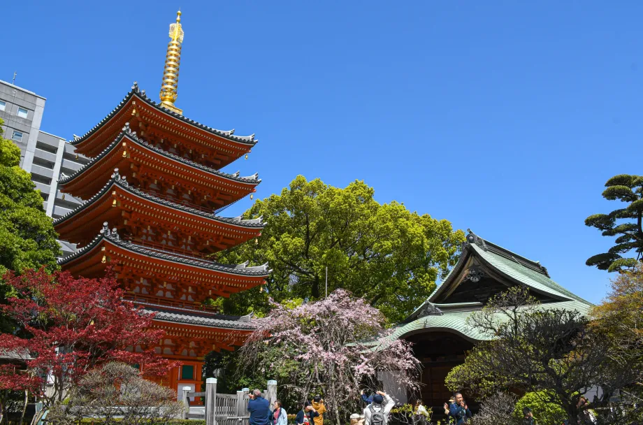 Fukuoka